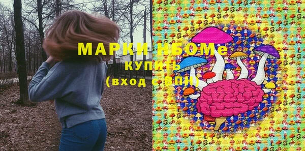 дживик Новодвинск