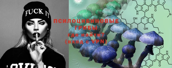 прущая мука Нея