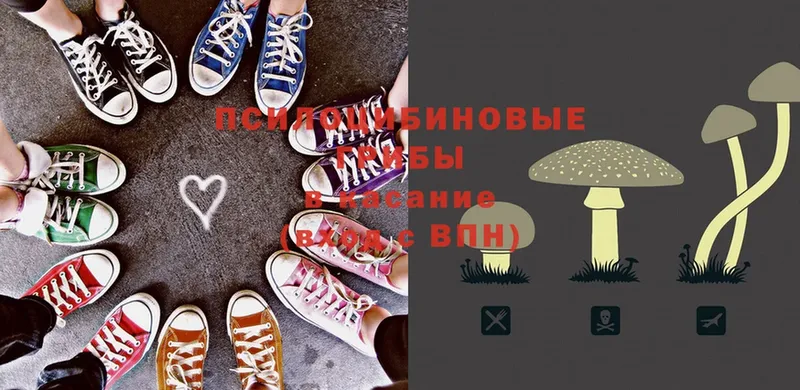 Галлюциногенные грибы мицелий  Новоаннинский 